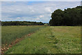 Footpath beside Hartly Wood