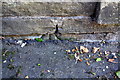 Benchmark on wall fronting Nutclough Cottage