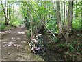 Halfsmock Stream and Halfsmock Stream path