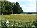 Summerhouse with a view