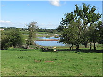 SO9366 : Wetland lakes at Wychbold Nature Reserve by Roy Hughes