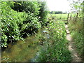 Path and River Salwarpe near Upton Warren Nature Reserve