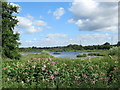 One of the lakes at the Upton Warren Nature Reserve