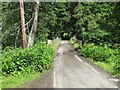 Minor road and Bridge crossing the River Livet near to Drumin Castle