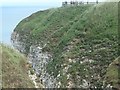 TA1974 : Viewing platform, RSPB Bempton Cliffs by Christine Johnstone