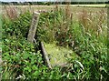 Remote water trough east of Barlow