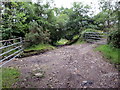 Llwybr ger Bryngurnin / Path near Bryngurnin