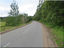 NJ2909 : Road (A944) between The Torr and Meikle Knowe by Peter Wood