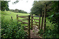 Beverley Twenty enters Beverley Westwood