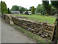 Dry stone walling, Dale Road