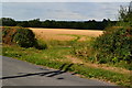 Field entrance near Manor Farm