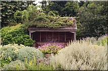 TL4557 : Cambridge University Botanic Garden : Scented Garden shelter by Jim Osley