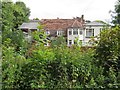 Overlooking the River Itchen