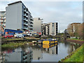 River Lee Navigation