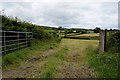 An open field, Gleneeny