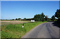 Ferry Road, Barrow Haven