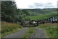 Active sheepfold at Middle Deuglie