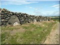 Orthostats in a drystone wall, Thurlstone