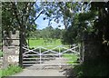 Y fynedfa i Wastad Faes / The entrance to Gwastad Faes