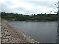 Dam of Trenchford reservoir