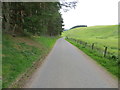 Minor road enclosed between woodland, fence and the Burn of Towie