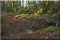 Ford east of Moor Barton