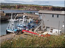 NT9464 : The Ice Plant at Eyemouth Harbour by Jennifer Petrie