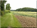 Footpath to Epperstone