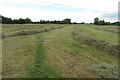 Footpath through the hay field