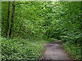 South Staffordshire Railway Walk at Castlecroft in Wolverhampton