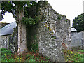 N8056 : Castles of Leinster: Trim, Nangle's Castle, Meath (2) by Garry Dickinson