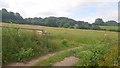 Grassy field near Ragman