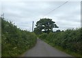 Road south of Trenchford reservoir