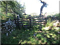 Llwybr ger Cefn Garth / Path near Cefn Garth