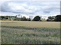 NZ2774 : Wheat field and Cramlington Hospital by Oliver Dixon