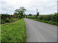 Hedge-lined minor road at Low Cotehill