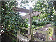 TQ0398 : Wooden Signpost near Sarratt Bottom by David Hillas