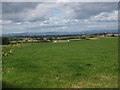 Farmland near Bogside Farm