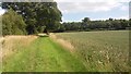 Path heading to the A4421