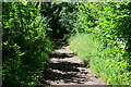 SU2240 : Sunshine and shade on green path to Newton Tony by David Martin