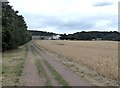 Bridleway to Middle Farm