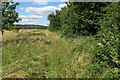 Aylesbury Ring footpath