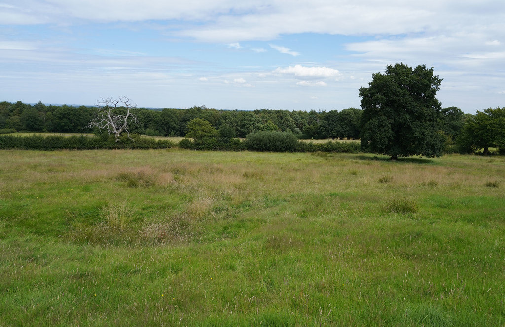 Another field of rough grazing © Malcolm Neal :: Geograph Britain and ...