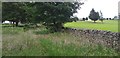 Footpath next to Jedburgh Golf Club