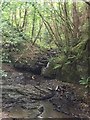 Stream in Rhyd y Gaseg