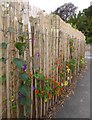 Allotment boundary fence, Brent Hill, Faversham