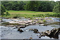 River Usk, Cyffredin