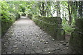 Junction of Buttress with woodland footpath