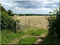 SK6554 : Hayfield near Turncroft Farm by Alan Murray-Rust