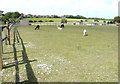 Part of Woodpecker Court Community Farm